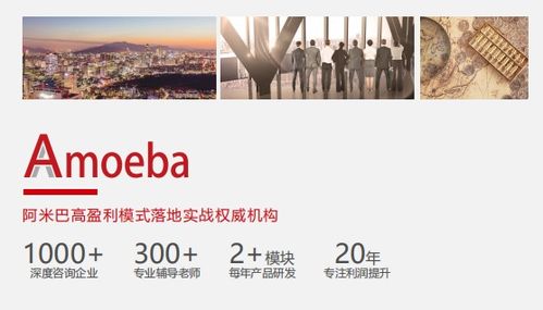 比佛利管理咨詢 推動阿米巴模式落地，助力企業(yè)贏在管理
