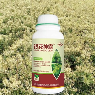 為峰肥業金銀花高產水溶肥 打造葉面肥代理新模式，助金銀花種植增效提質