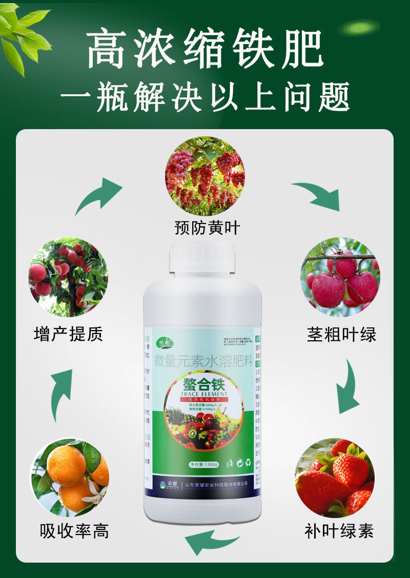 鐵肥作用全解析 防治黃葉病，一舉多得！