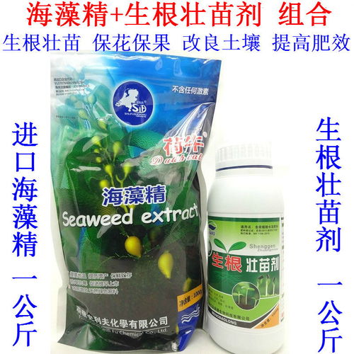 綠色農業新選擇 天然海藻精肥料助力果蔬增產增效