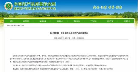 惠東馬鈴薯入選2020年第一批全國名特優新農產品